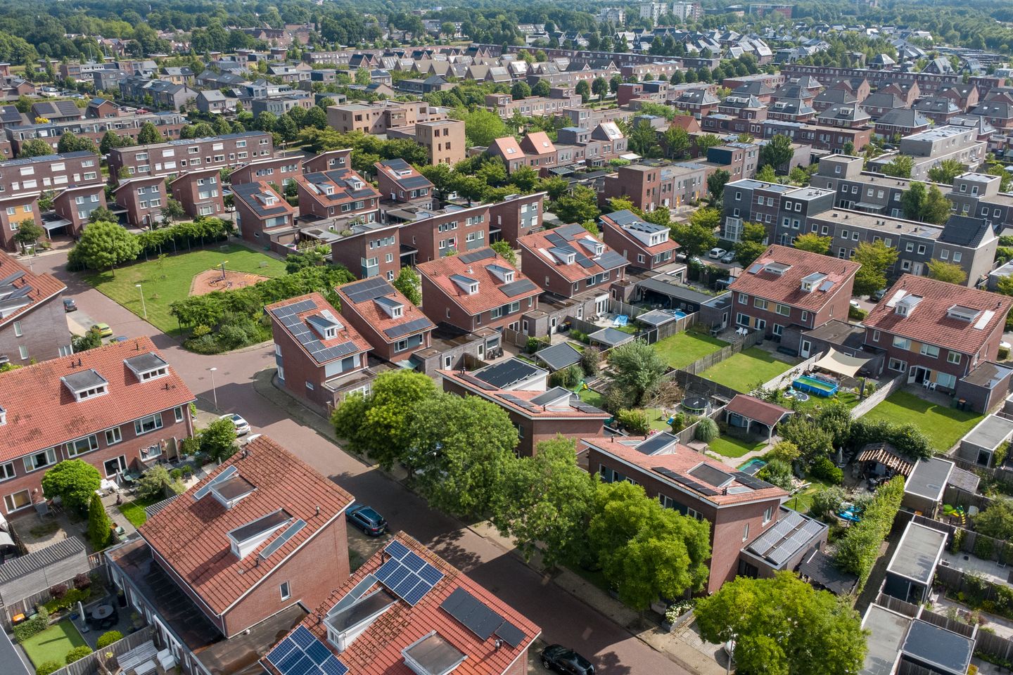 Foto 50 van Aardbeivlinder 5