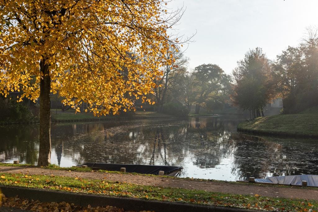 Photo 12 of Kennemerstraat 20-RD