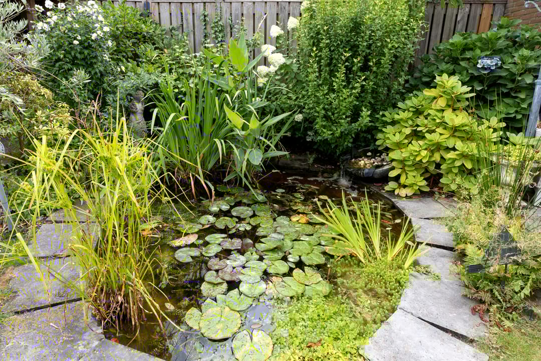 Foto 47 van Vaartstraat 6