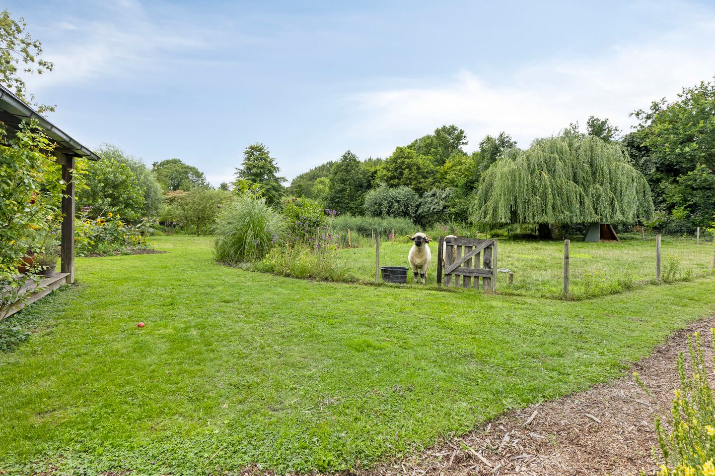 Photo 29 of Achterdijk 51