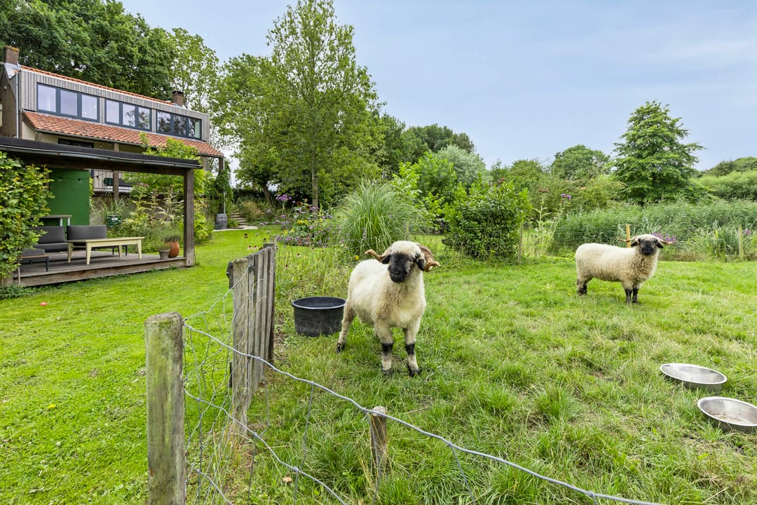 Photo 31 of Achterdijk 51