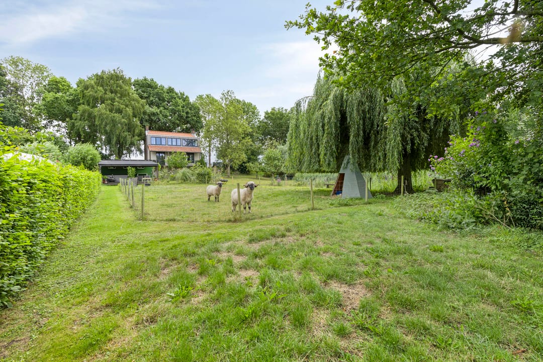 Photo 32 of Achterdijk 51