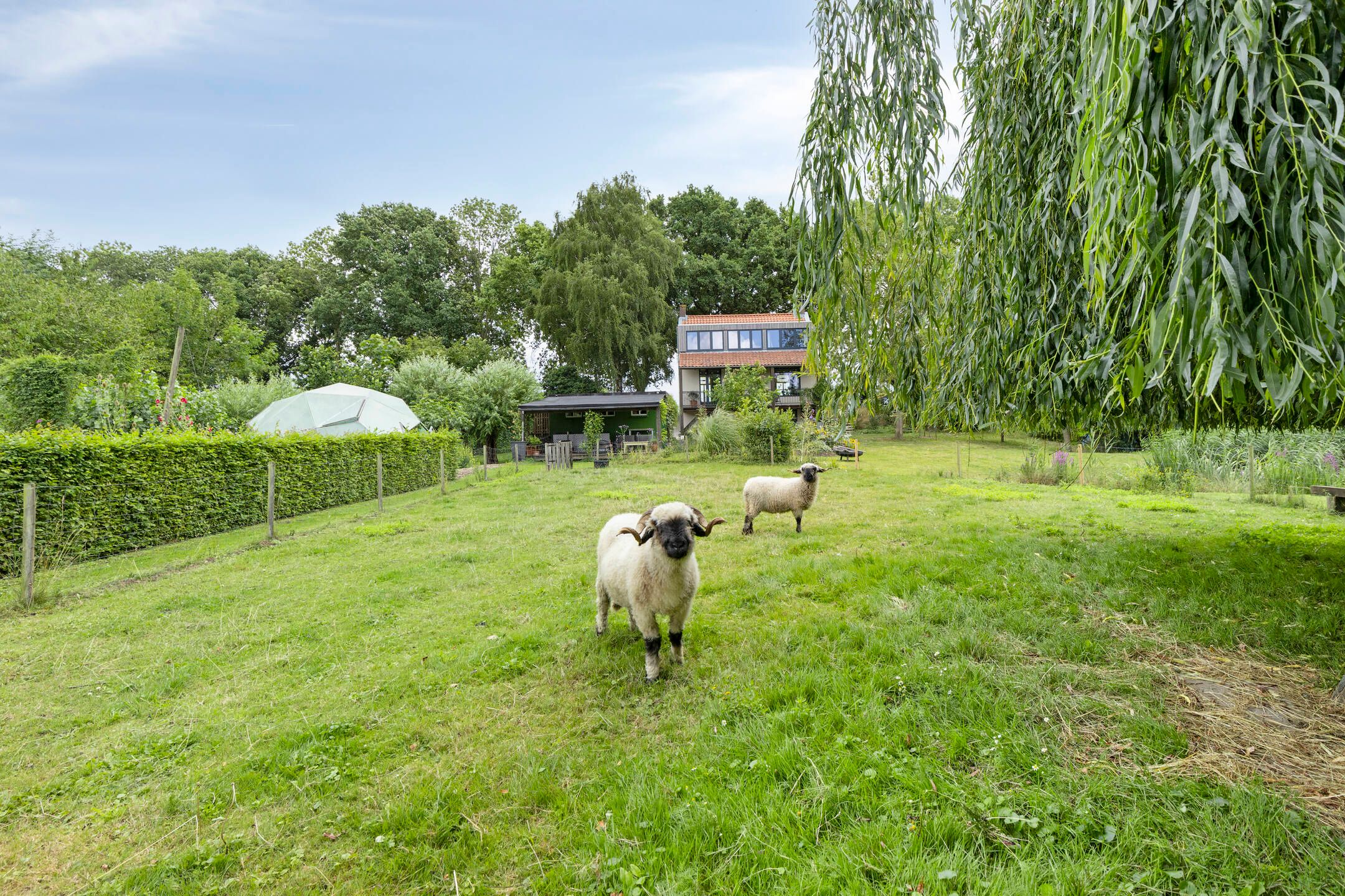 Photo 33 of Achterdijk 51