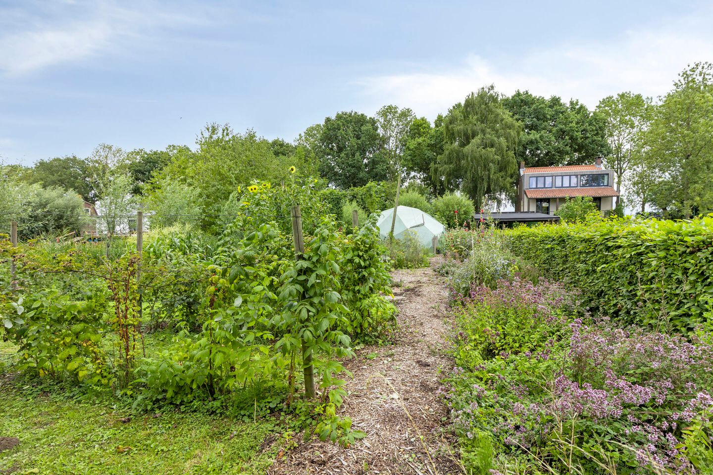 Photo 34 of Achterdijk 51