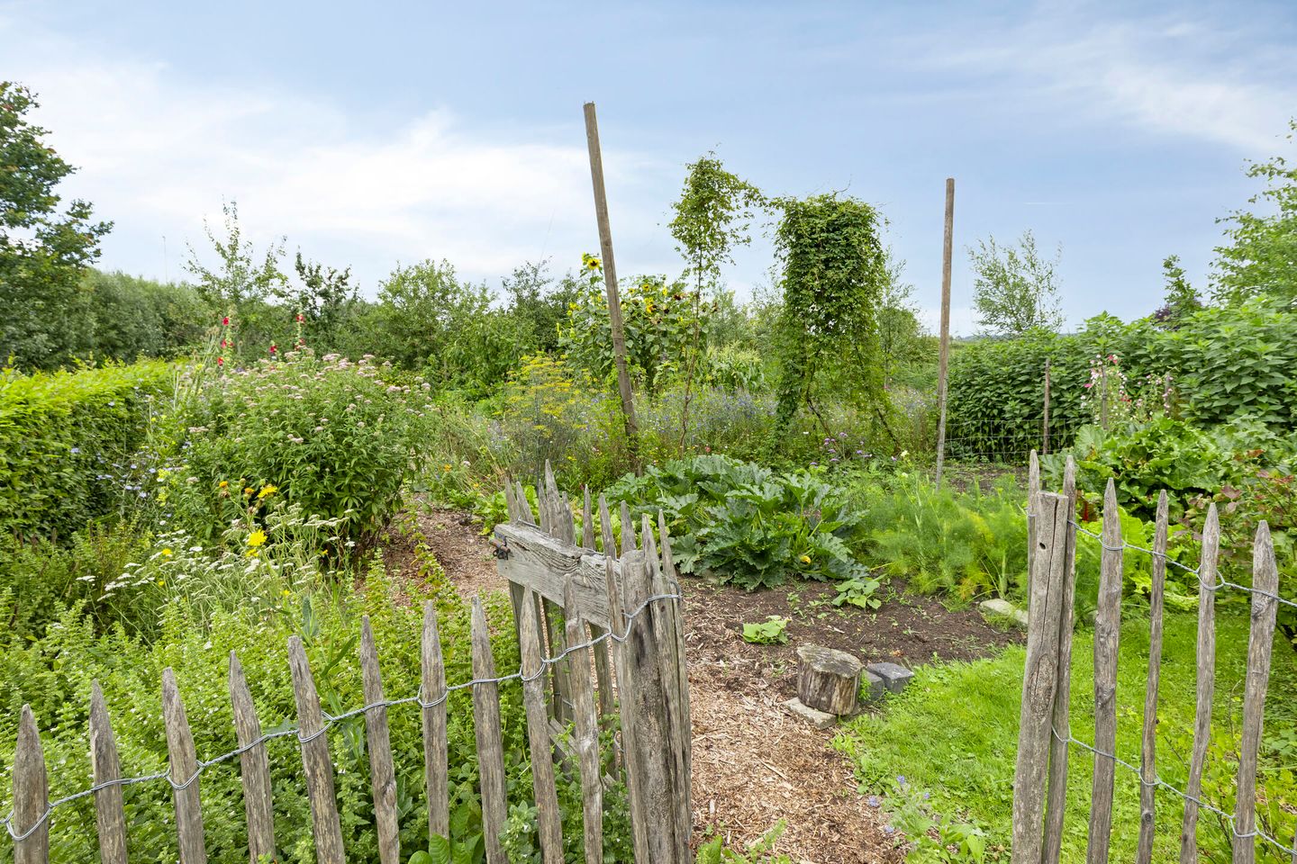 Photo 35 of Achterdijk 51