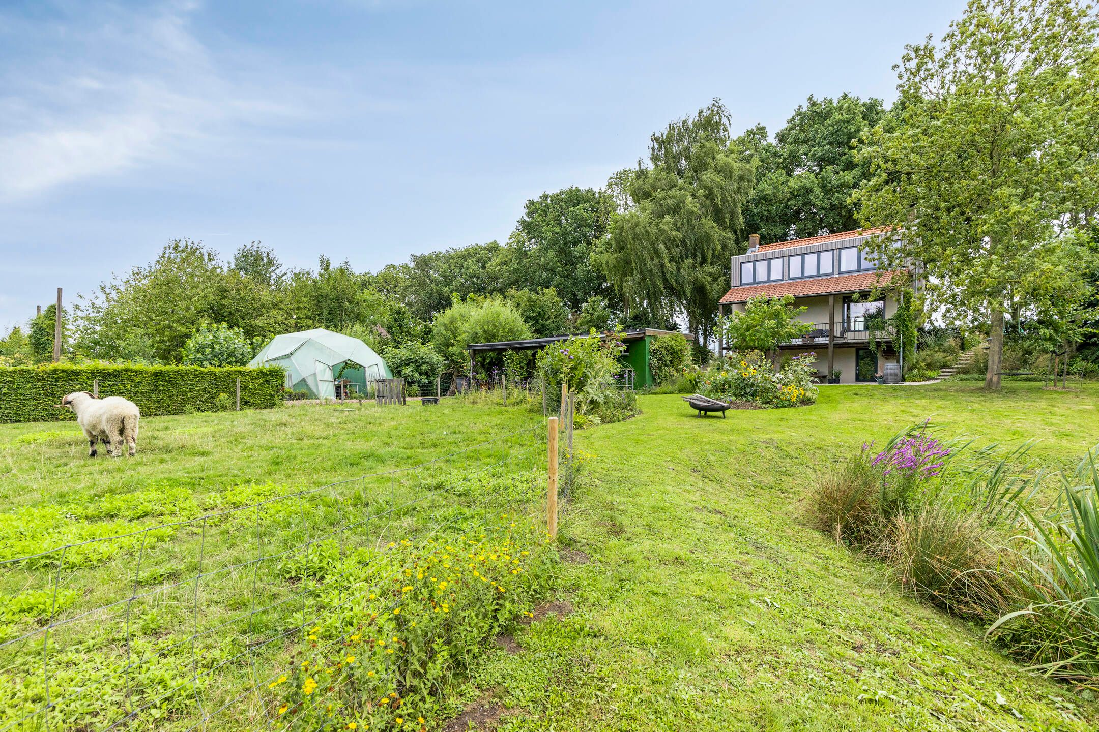 Photo 42 of Achterdijk 51