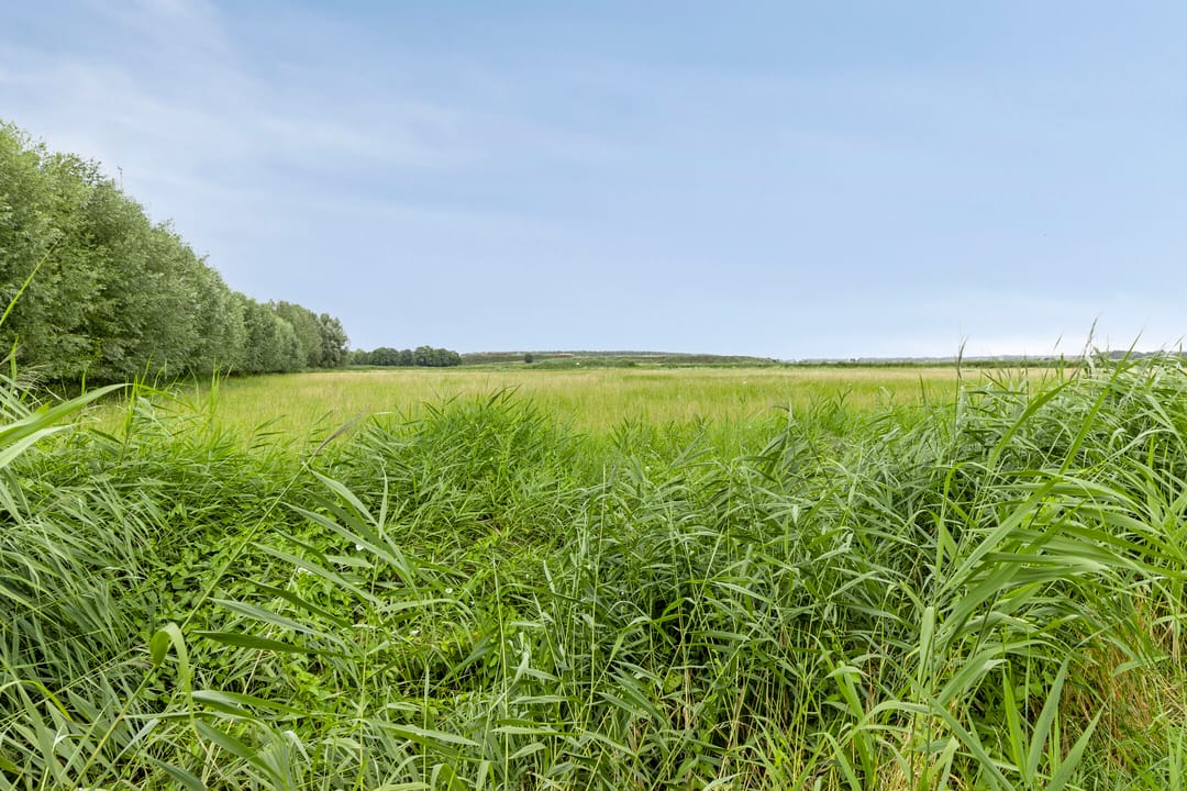 Photo 43 of Achterdijk 51