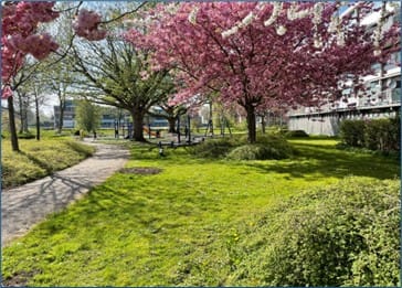 Foto 24 van Marsdiep 71