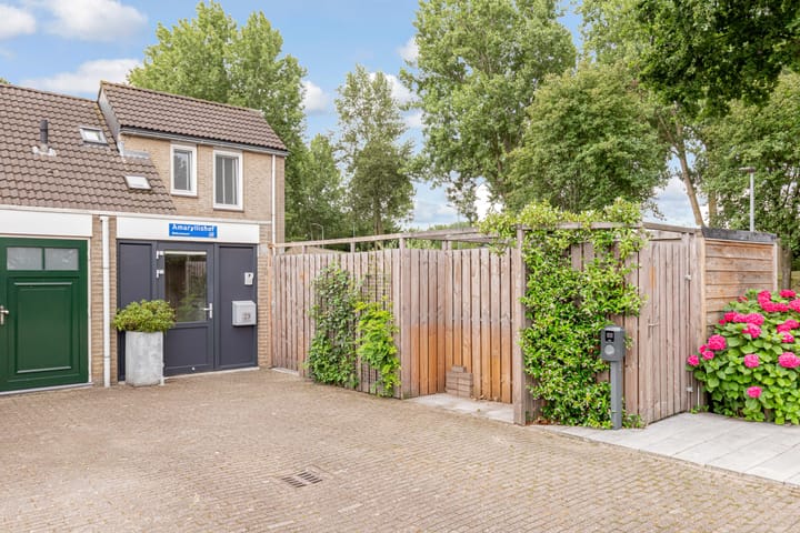 Foto 8 van Amaryllishof 23