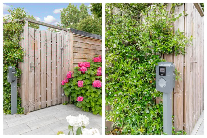 Foto 63 van Amaryllishof 23