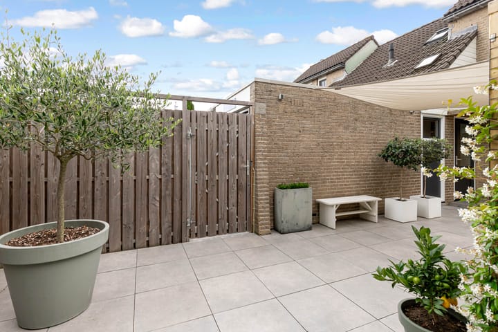 Foto 60 van Amaryllishof 23