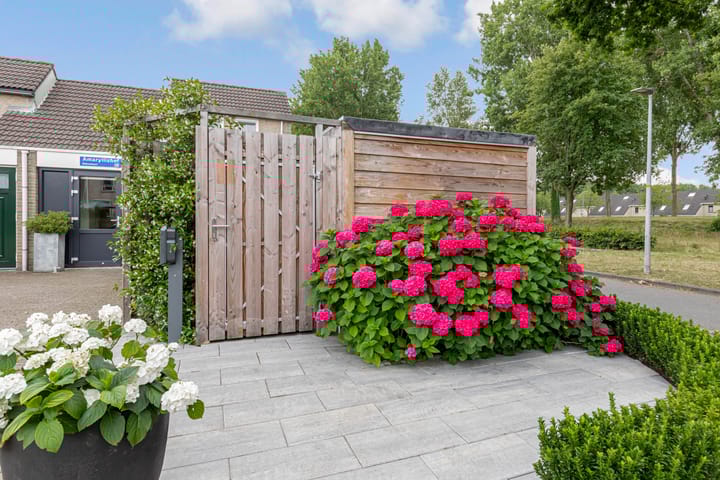 Foto 64 van Amaryllishof 23