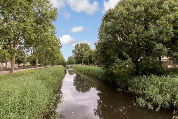 Foto 73 van Amaryllishof 23