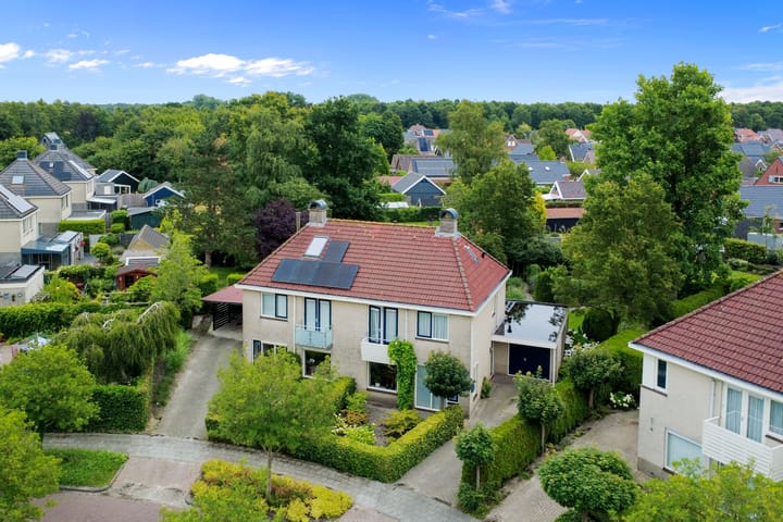 Photo 4 of Dotterbloem 7