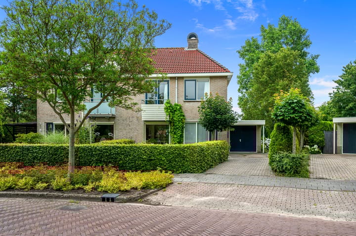 Photo 5 of Dotterbloem 7