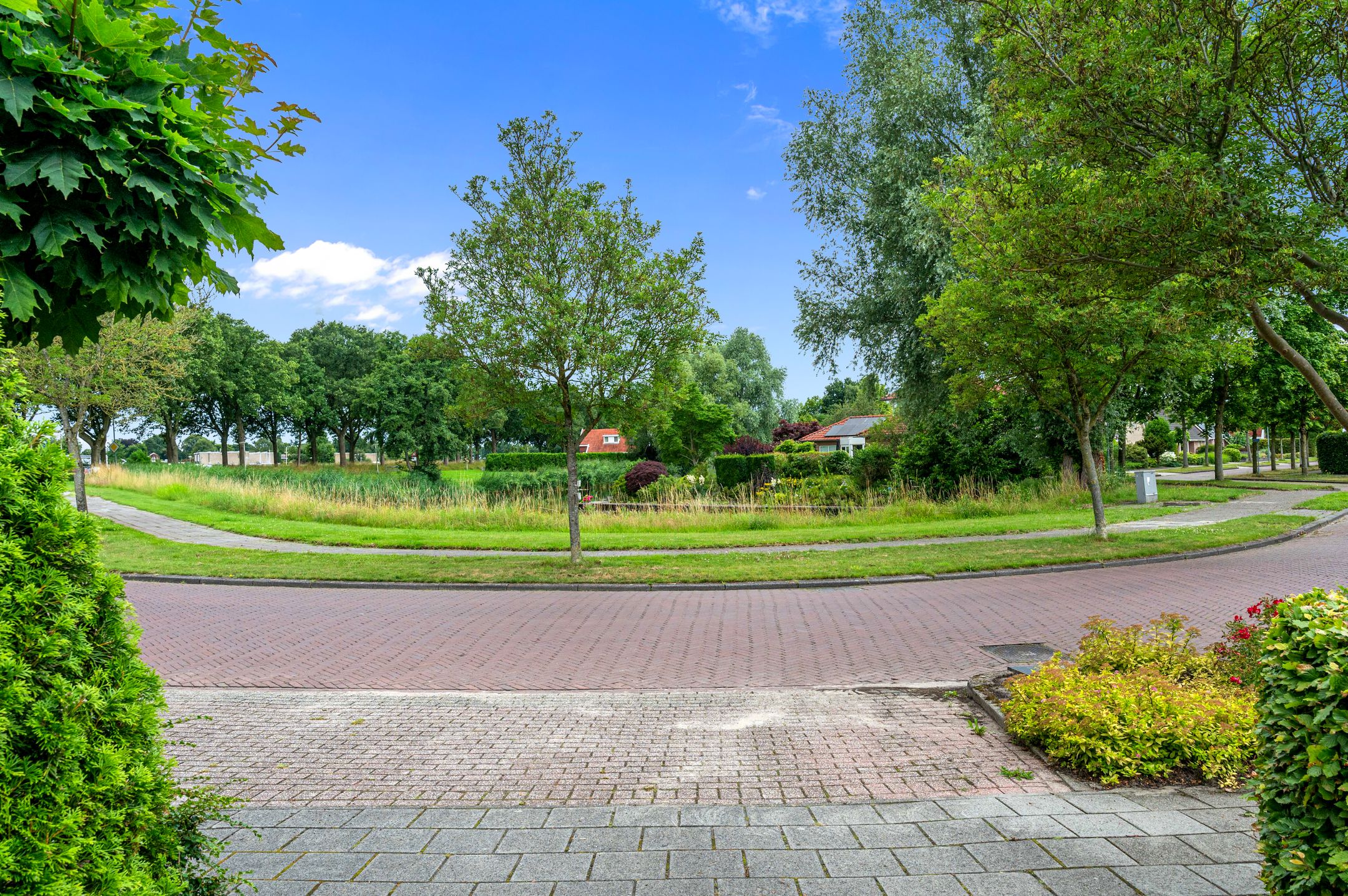 Foto 6 van Dotterbloem 7