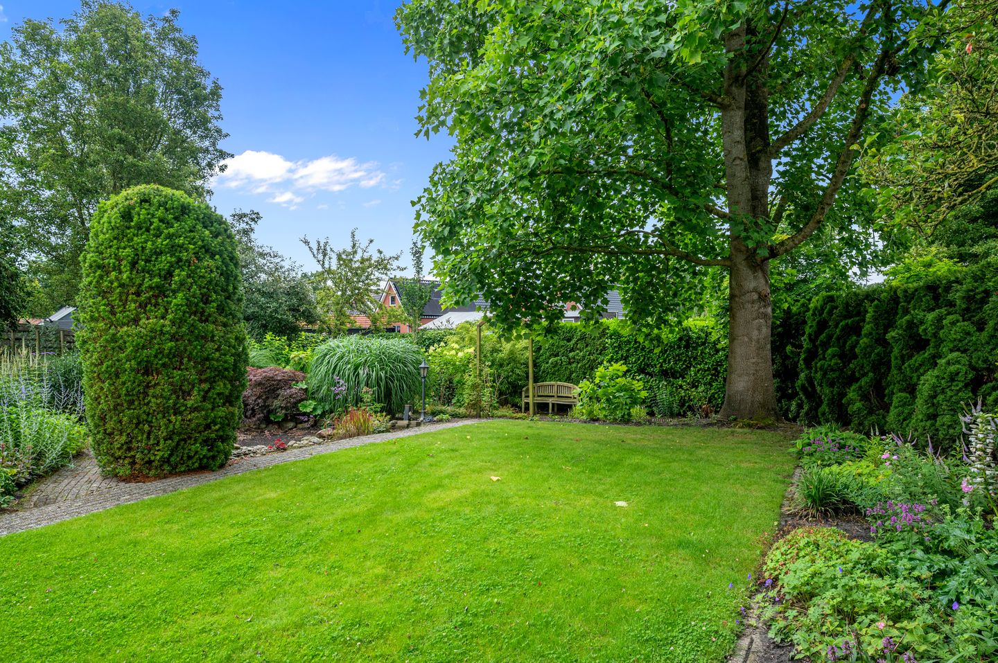 Foto 34 van Dotterbloem 7