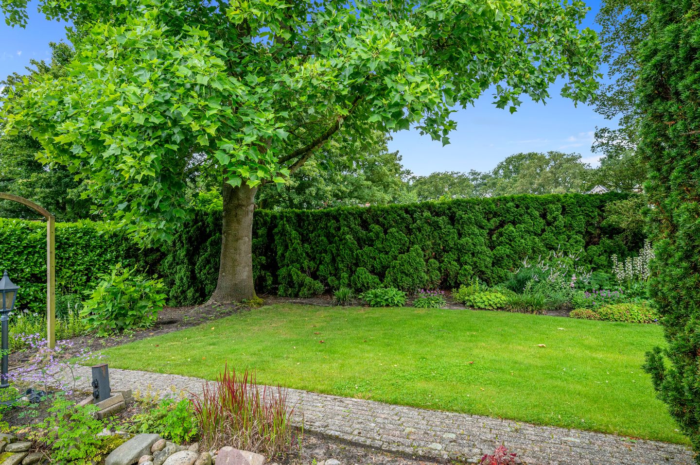 Foto 35 van Dotterbloem 7