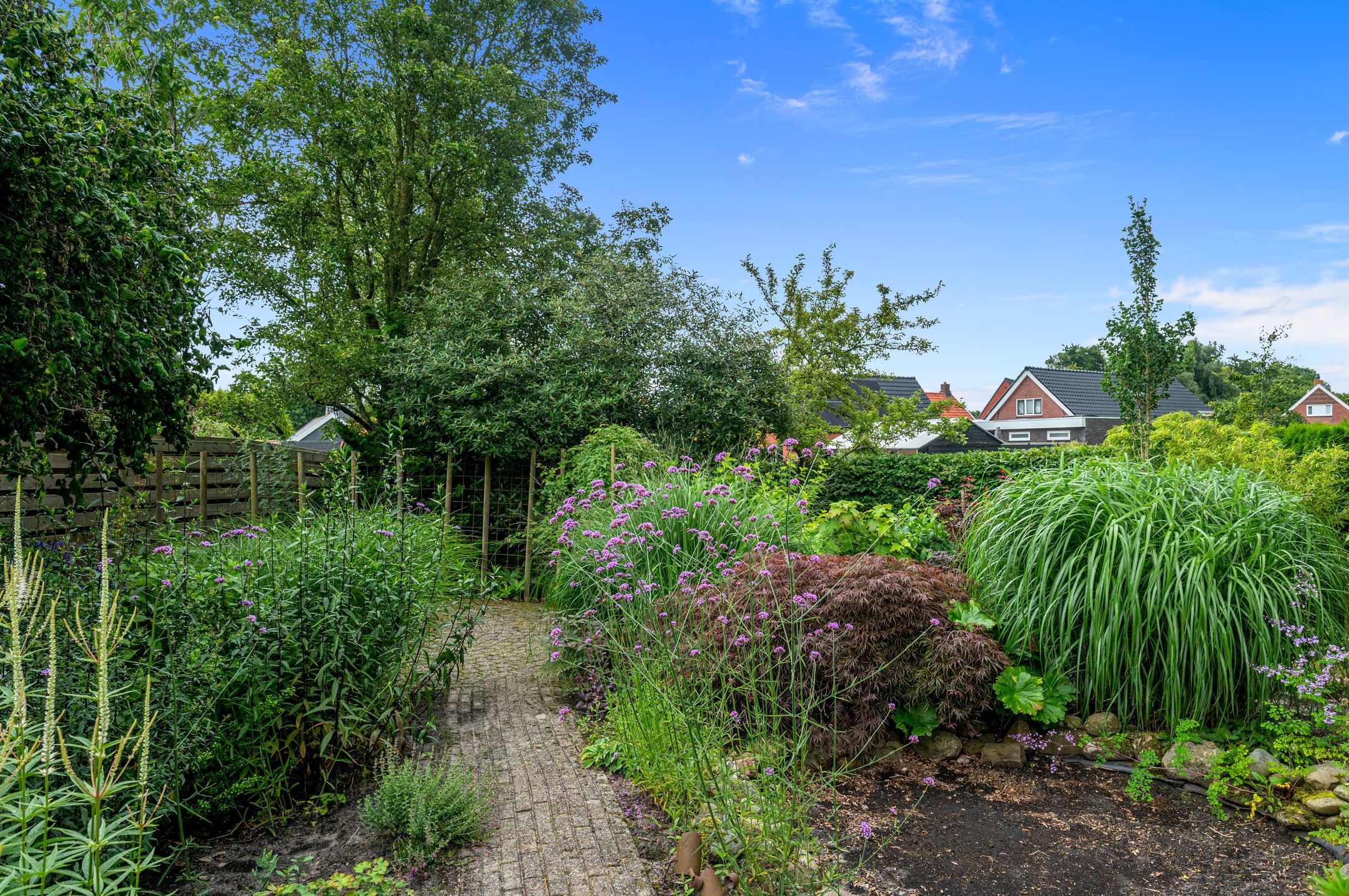 Foto 36 van Dotterbloem 7