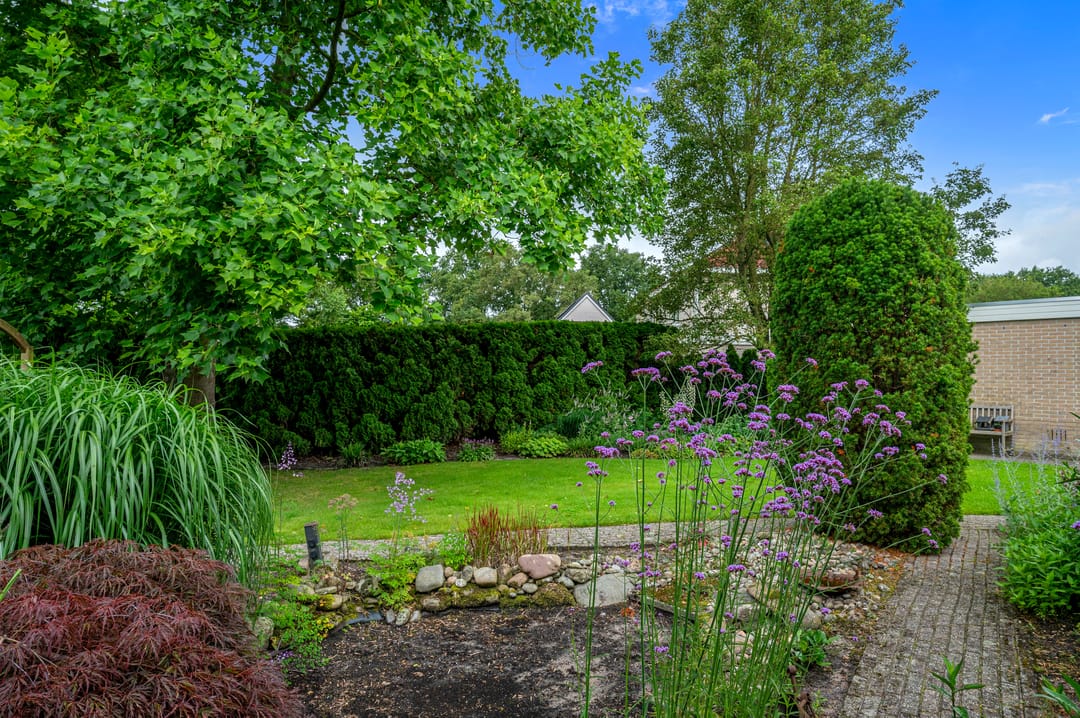 Foto 37 van Dotterbloem 7