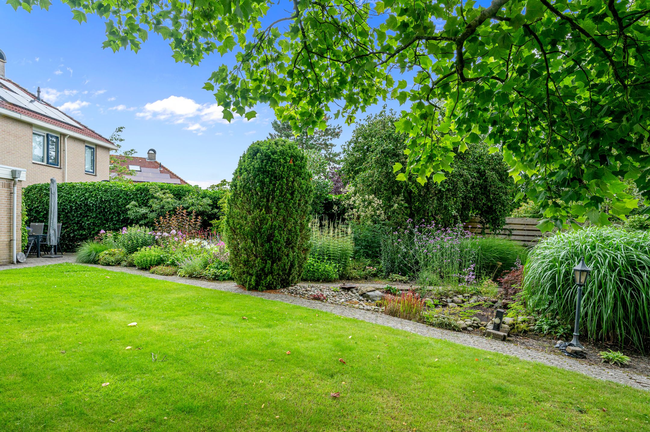 Foto 39 van Dotterbloem 7