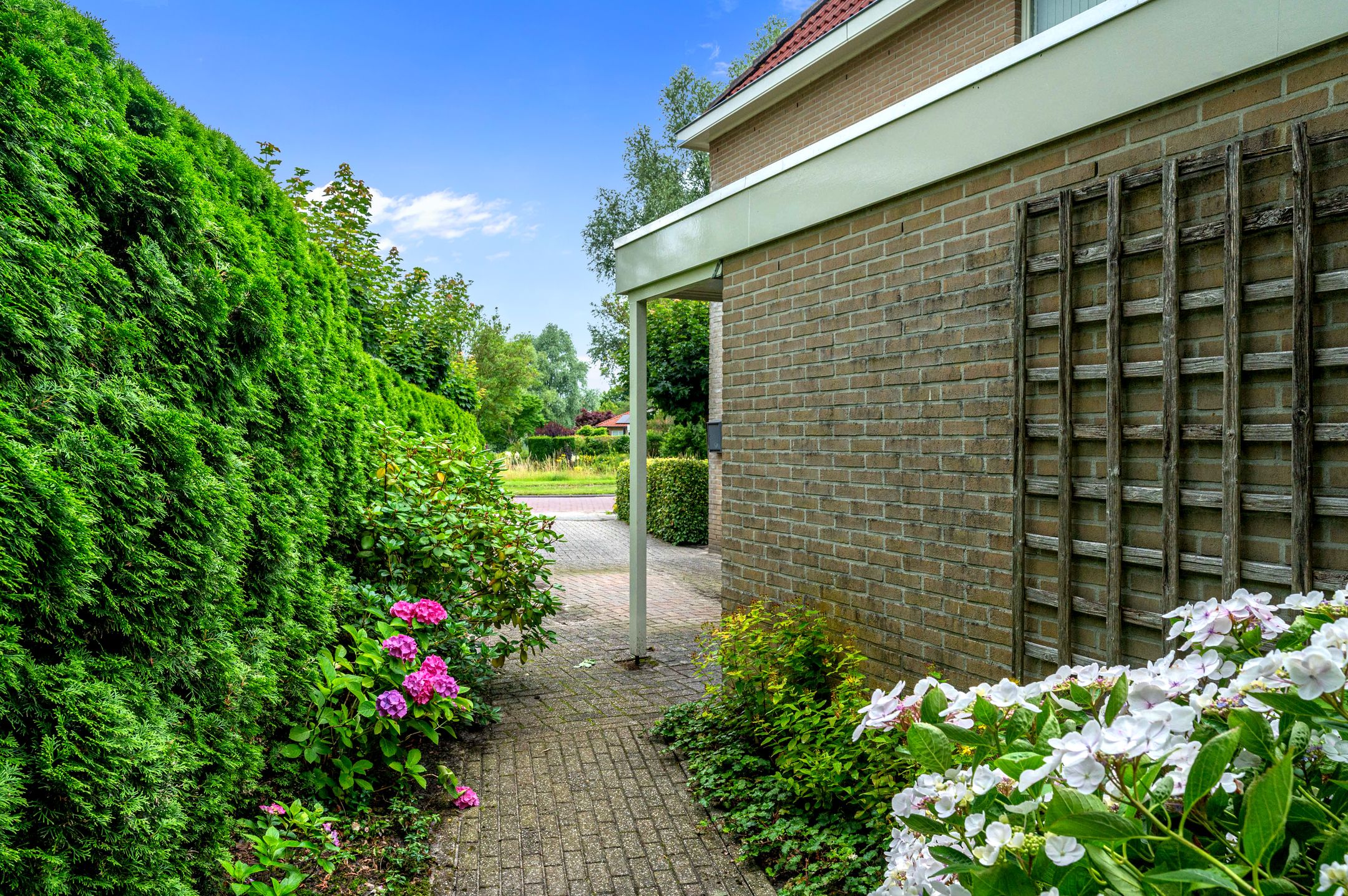 Foto 42 van Dotterbloem 7