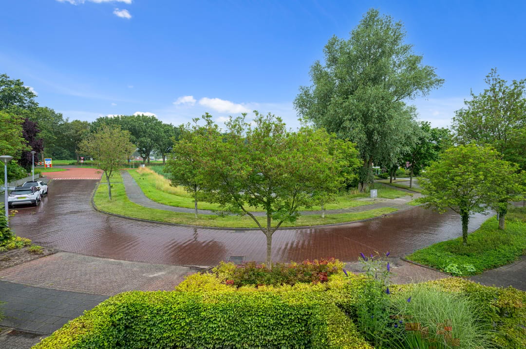 Foto 43 van Dotterbloem 7