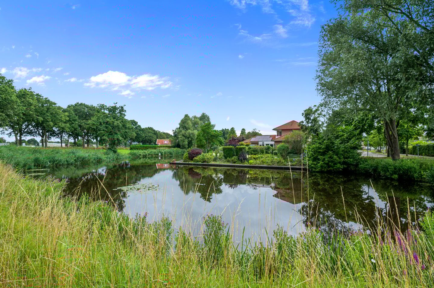 Foto 44 van Dotterbloem 7