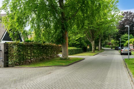 Noordlaan 52 secondary image