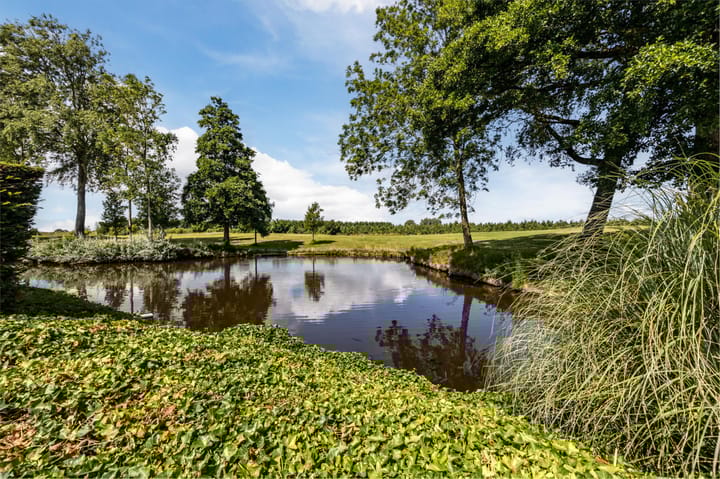 Foto 38 van Grevelingenhout 176