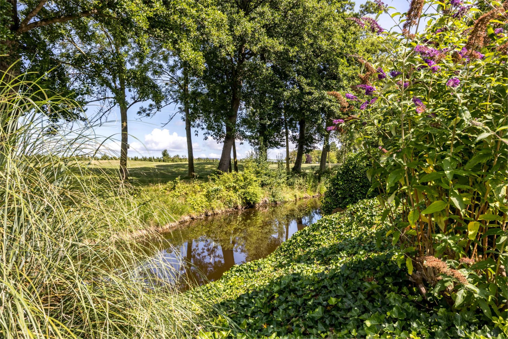 Foto 39 van Grevelingenhout 176