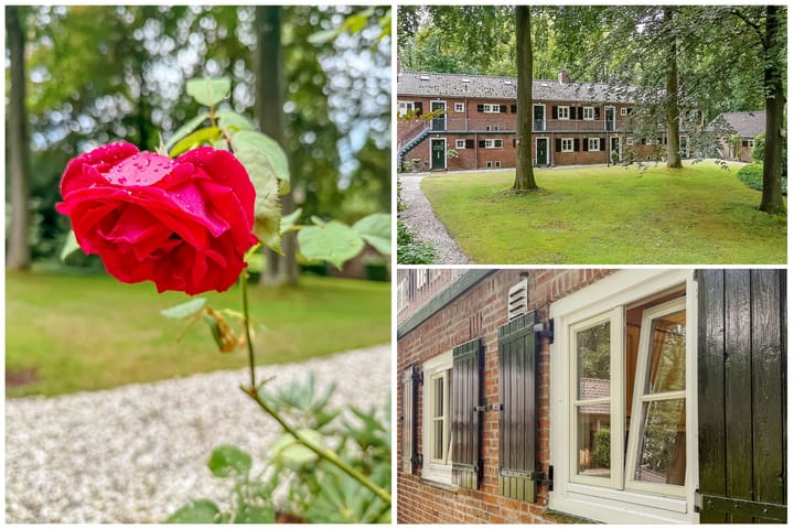 Foto 2 van Park Rodichem 101