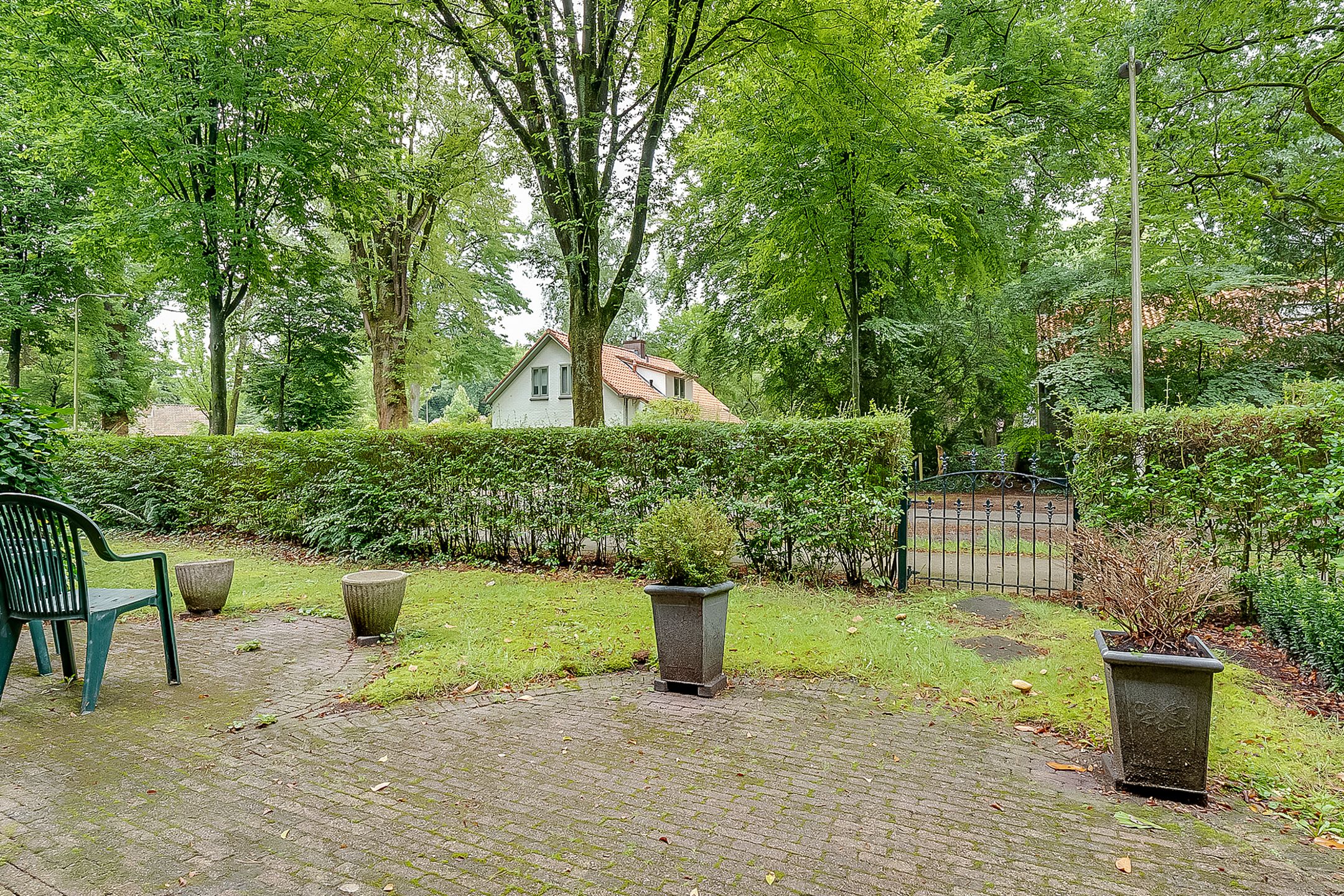 Foto 12 van Park Rodichem 101