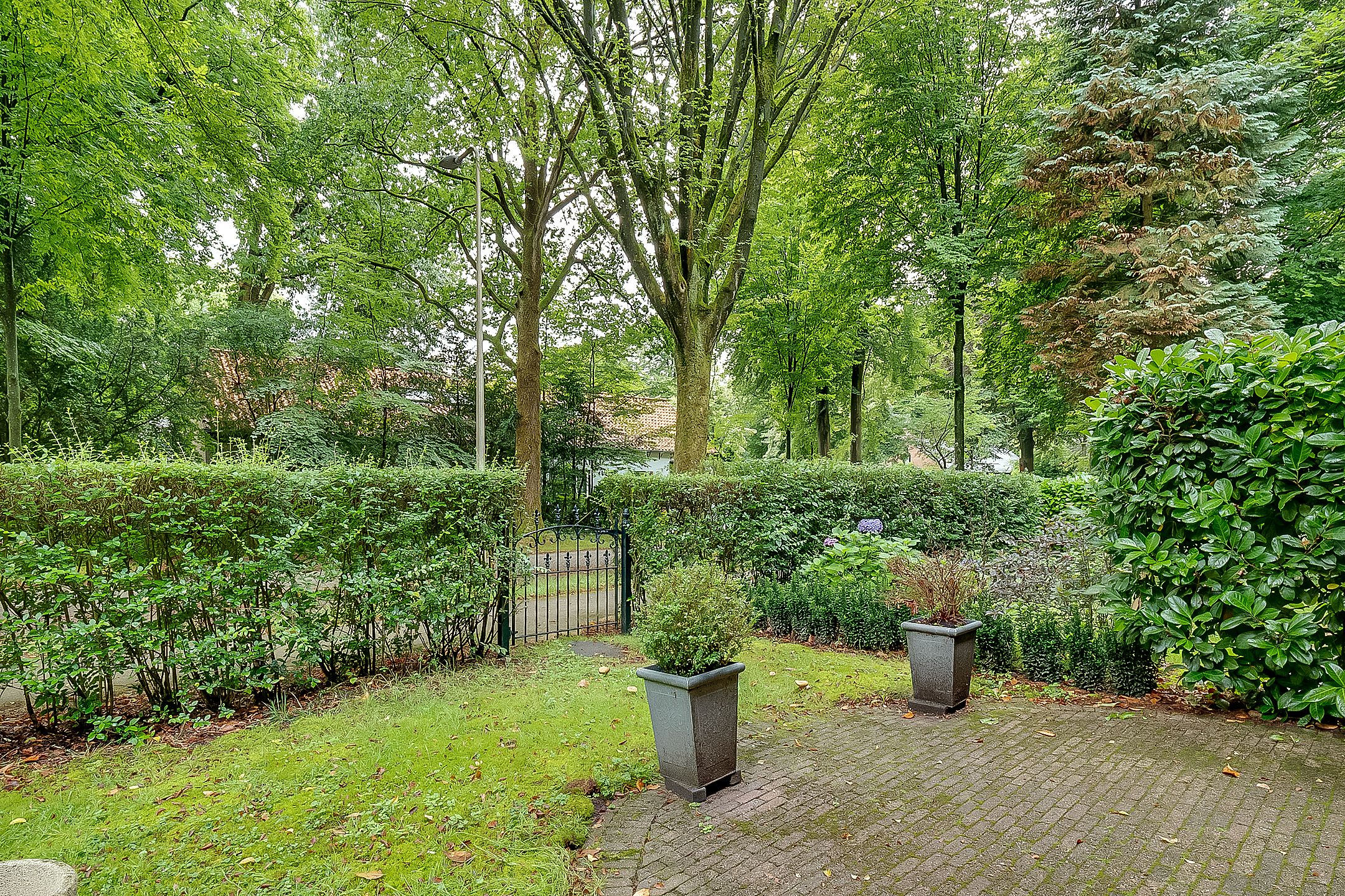 Foto 15 van Park Rodichem 101