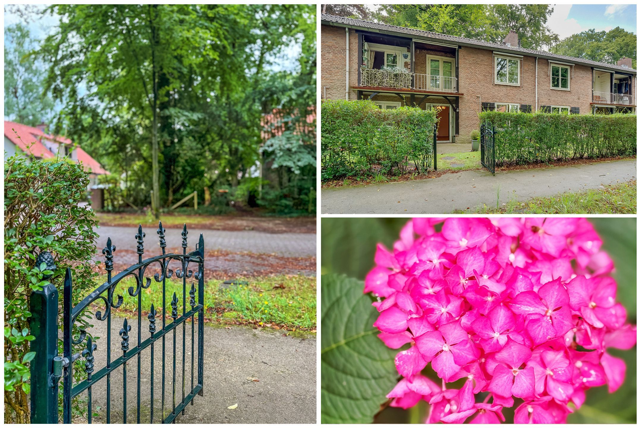 Foto 18 van Park Rodichem 101