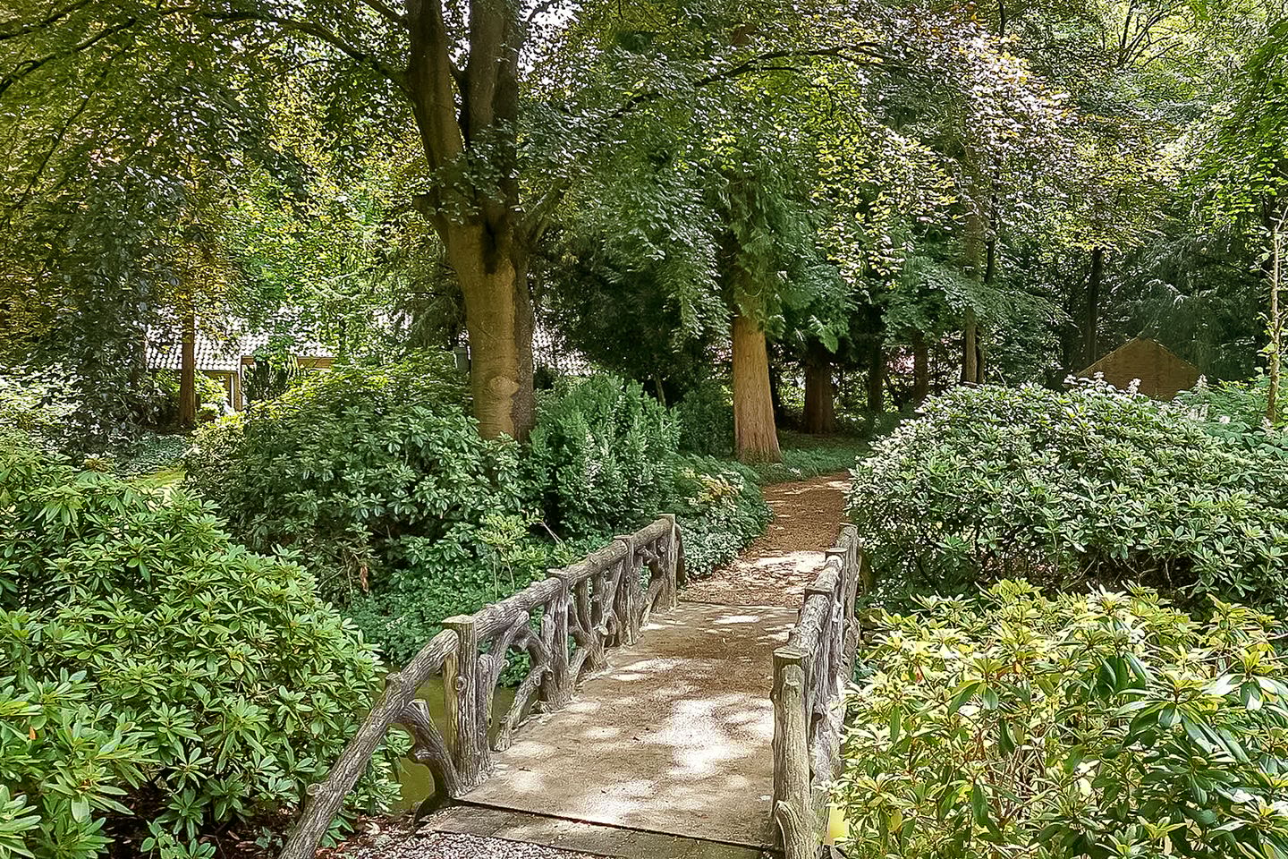 Foto 20 van Park Rodichem 101