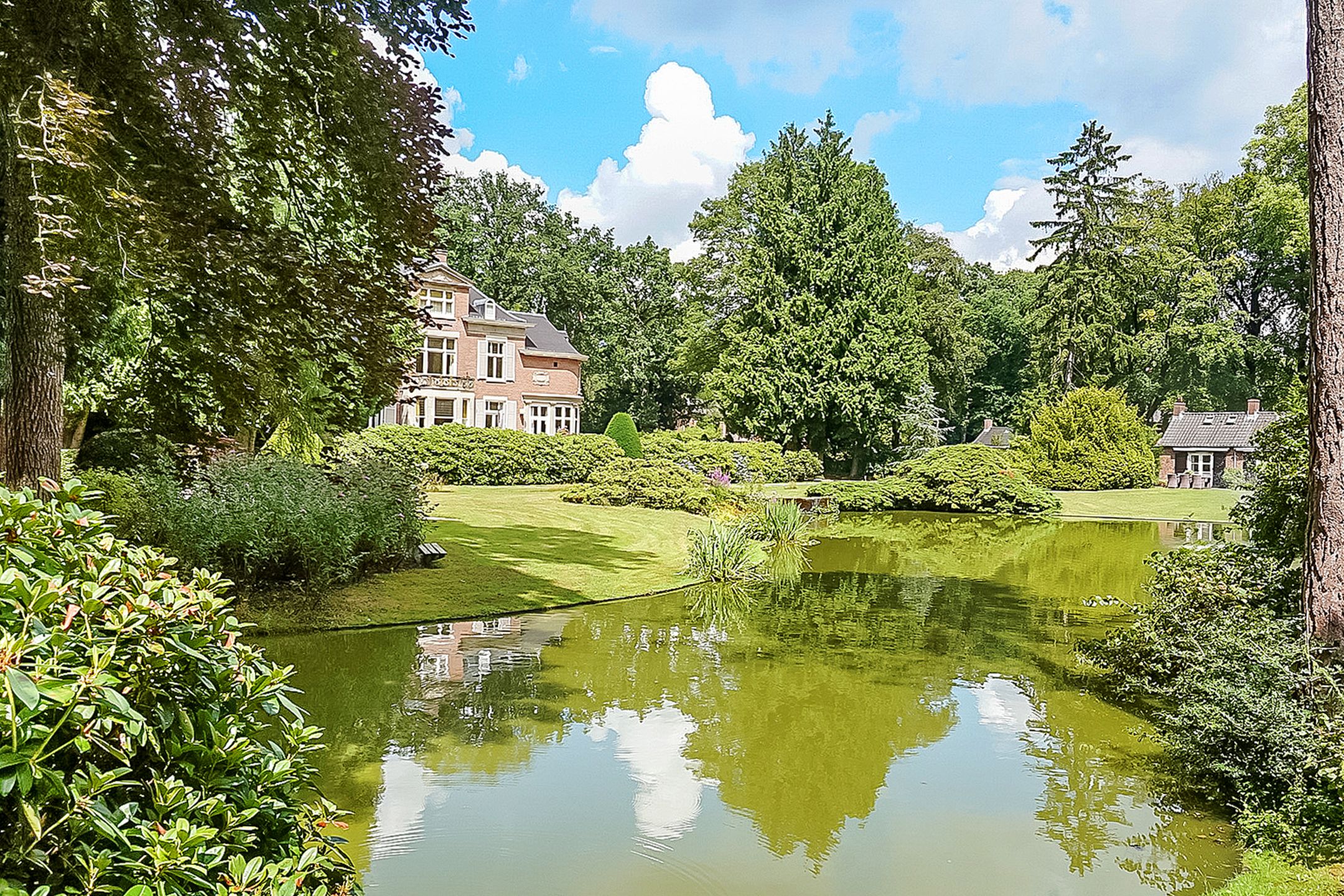 Foto 21 van Park Rodichem 101