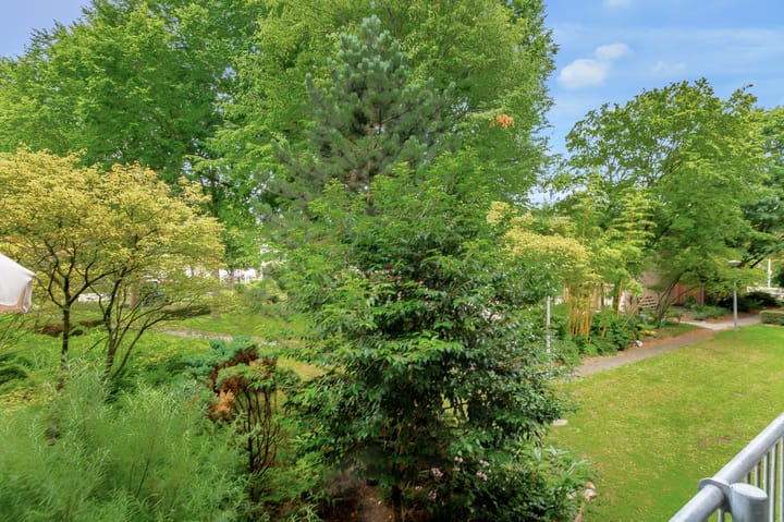 Foto 27 van Amerbos 529