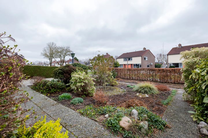 Foto 12 van De Omloop 19