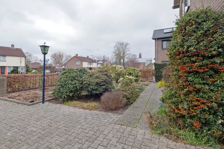 Foto 11 van De Omloop 19