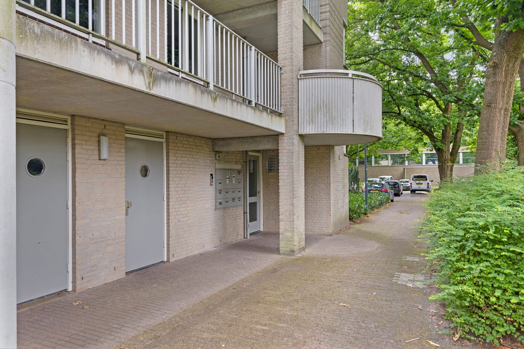 Photo 26 of Bijsterveld 3