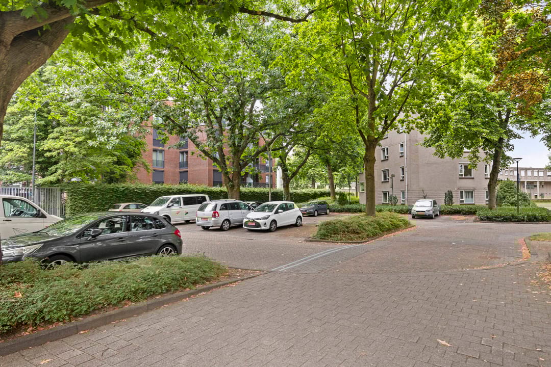 Photo 28 of Bijsterveld 3