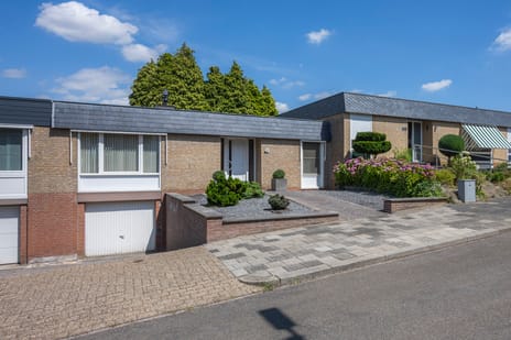 Paulus Potterstraat thumbnail