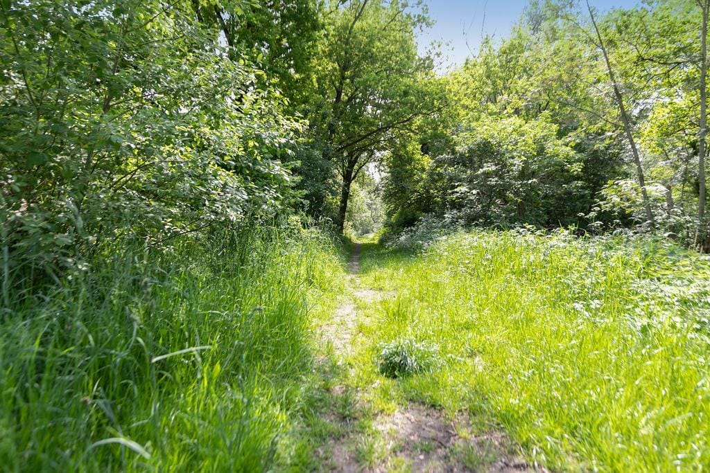 Foto 45 van Kanaal O.Z. 9-33