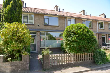 undefined main image