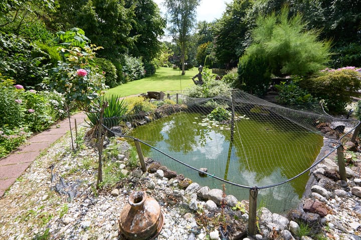 Foto 65 van Zuiderweg 79