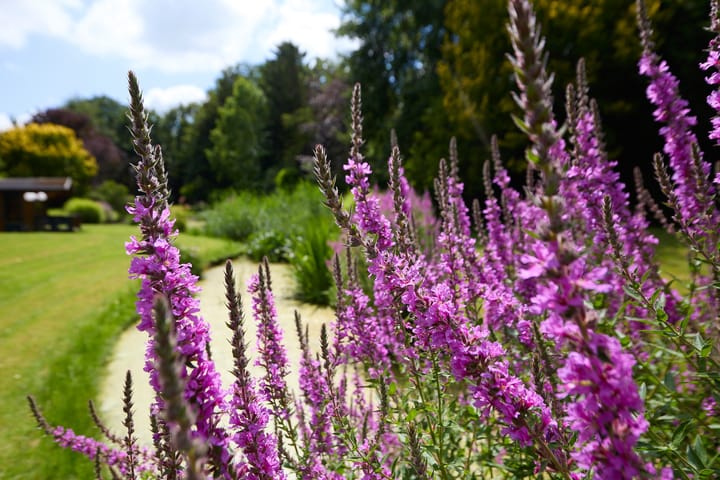 Foto 71 van Zuiderweg 79