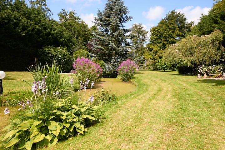 Foto 73 van Zuiderweg 79