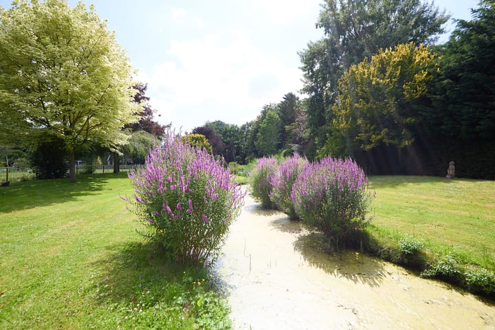 Foto 75 van Zuiderweg 79