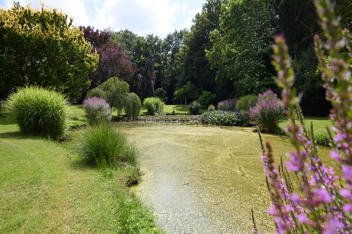 Foto 76 van Zuiderweg 79